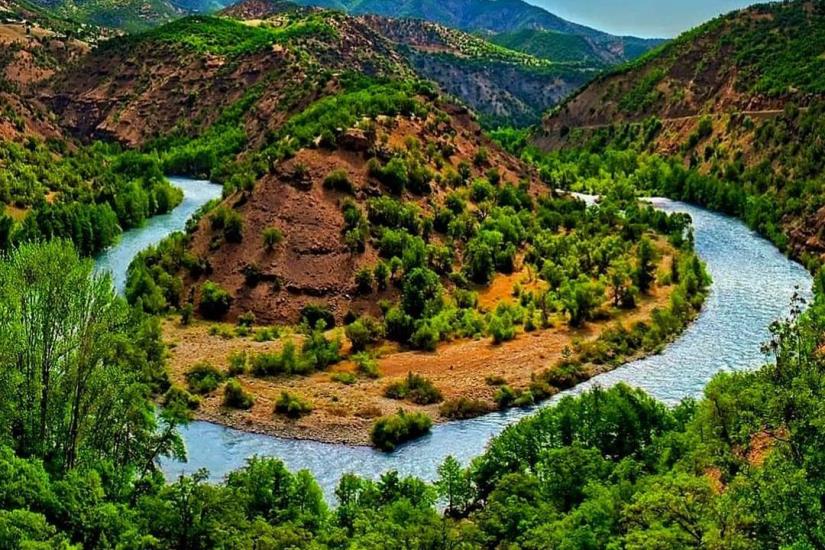Pertek Yerel Çalışma