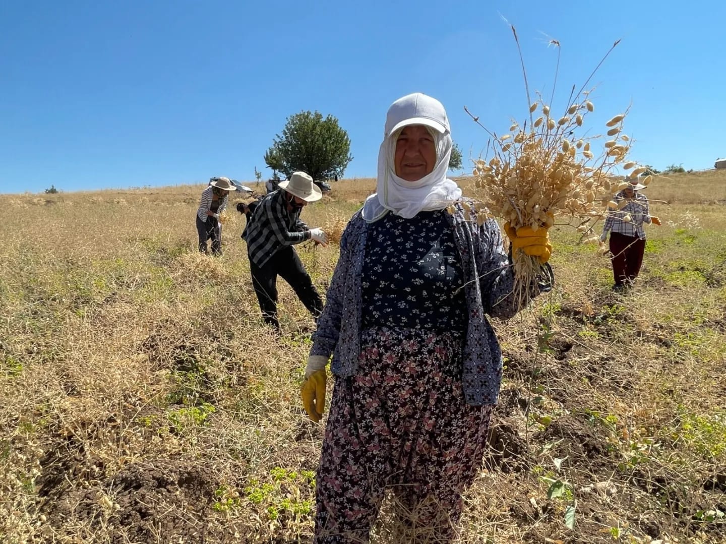 Pertek Eğitim ve Toplantı